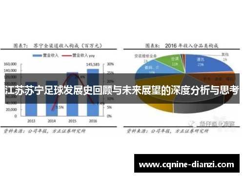 江苏苏宁足球发展史回顾与未来展望的深度分析与思考