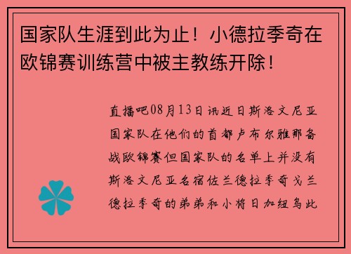 国家队生涯到此为止！小德拉季奇在欧锦赛训练营中被主教练开除！